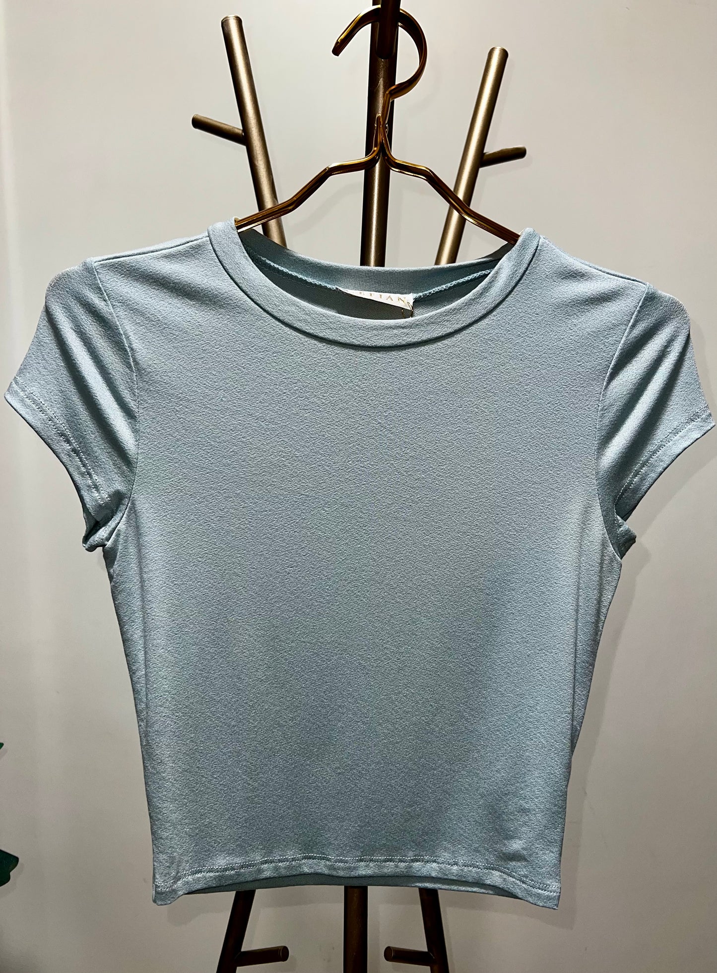 Basic Light Blue Top